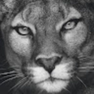 Meet your Posher, Yvonne